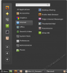 Mint 13 Cinnamon Internet Menu