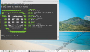 install screenFetch on Linux Mint 13
